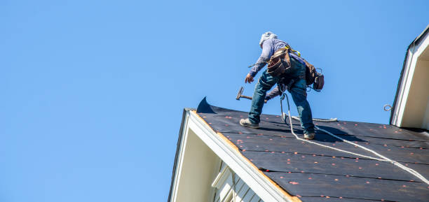 Best Emergency Roof Repair  in Newell, WV